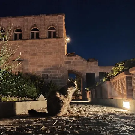 Torretta Ai Sassi Affittacamere 4*