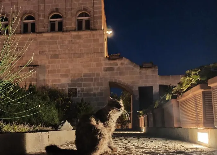 Torretta Ai Sassi Gasthof 4*